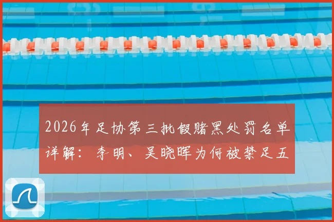 2026年足协第三批假赌黑处罚名单详解：李明、吴晓晖为何被禁足五年，涉事俱乐部与行业整顿路径分析