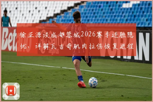 徐正源谈成都蓉城2026赛季连胜隐忧,详解瓦吉奇肌肉拉伤恢复进程